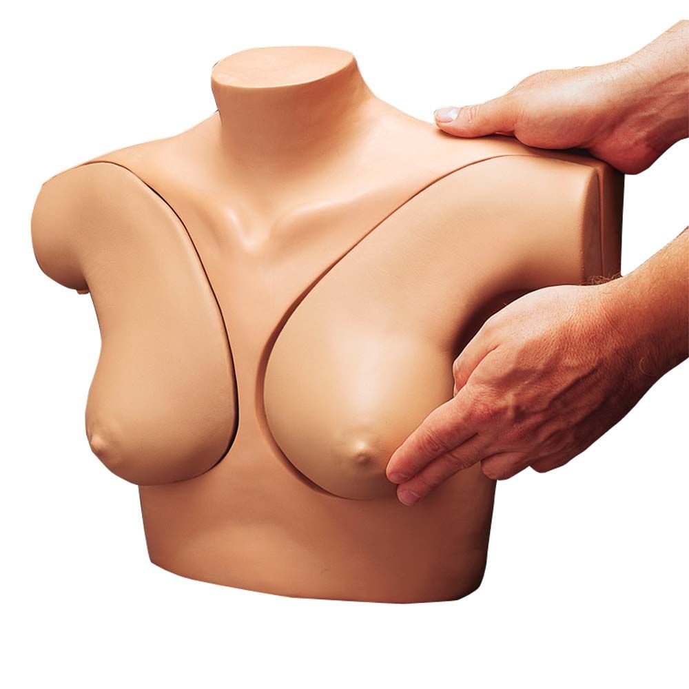 Brustuntersuchungs-Übungsmodell: beiger Torso mit zwei Brüsten, Hände untersuchen