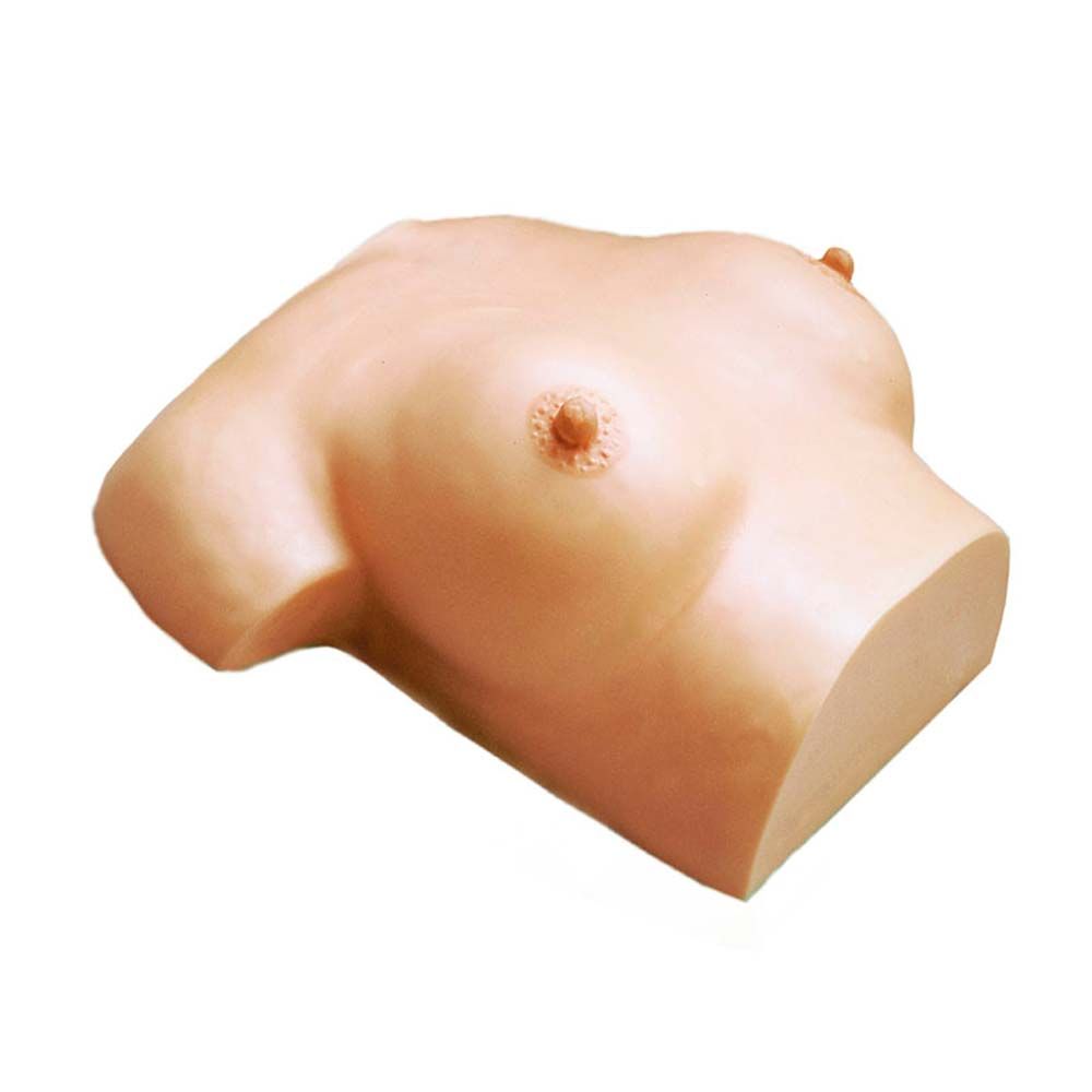 Massage-Liege-Modell mit hellem Torso und Brustdetail