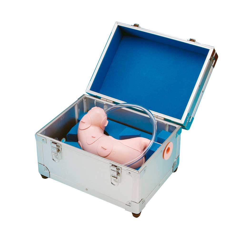 ESD-Trainingsmodell im Transportkoffer mit offenem Deckel